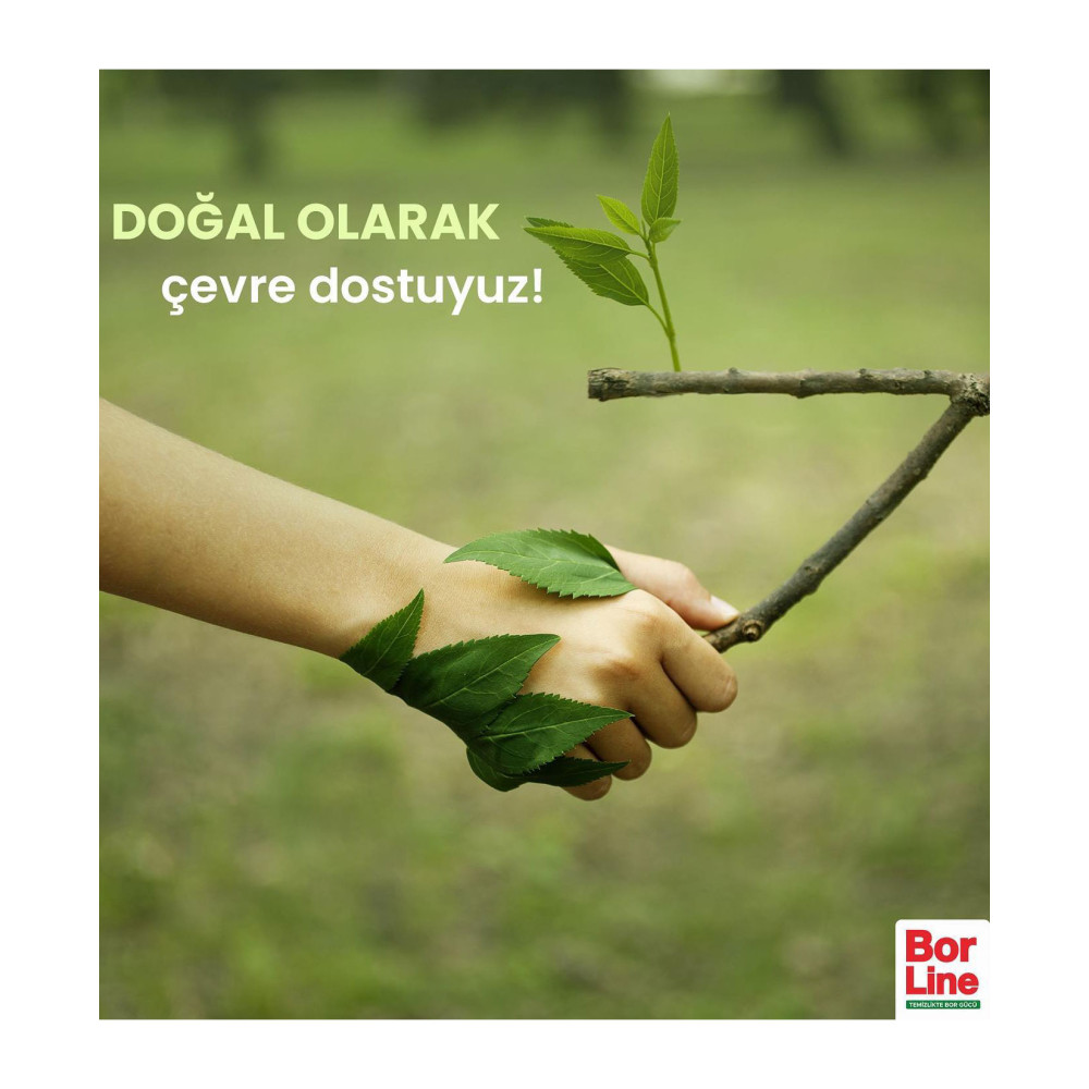 Borline Sıvı Sabun 400 ml Bahar Çiçekleri