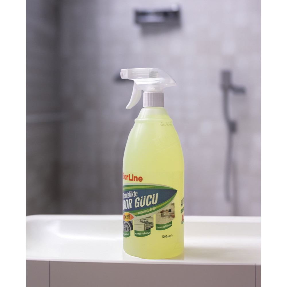 Borline Yağ Sökücü 1000 ml