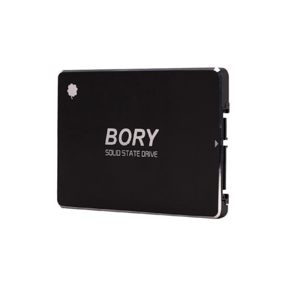 Bory R500-C256G Sata3 256 GB SSD 550/510 Mbs Harddisk Oto Boyaları Fiyatı