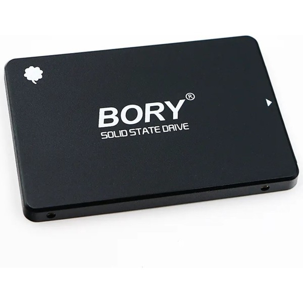 Bory R500-C512G 512GB 550-510MB SATA3 SSD - 512 GB Oto Boyaları Fiyatı