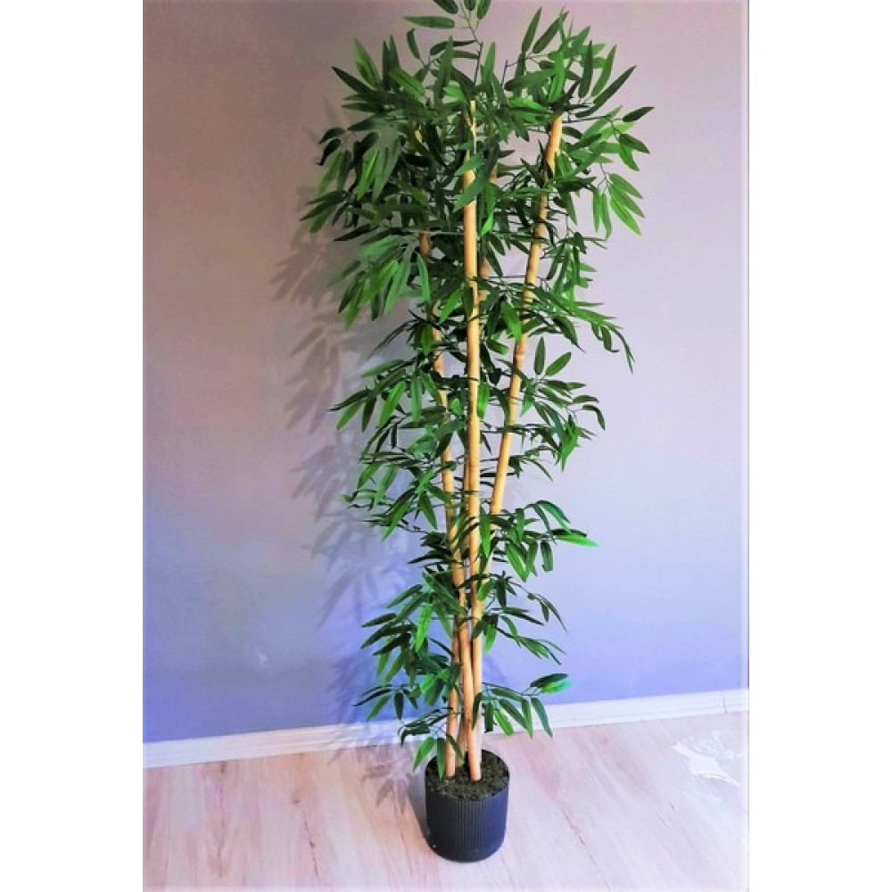 Botanik Bahçesi Yapay Bambu Ağacı 1.60 mt Boy 4 Adet Orjinal Bamboo Gövdeli Ağaç Ev & Dekorasyon Aksesuarları Fiyatı