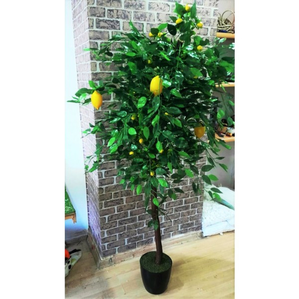 Botanik Bahçesi Yapay Limon Ağacı Limon Çiçeği 1.80 Metre Boyunda Büyük Iri Meyveli Limon Bitki Ev & Dekorasyon Aksesuarları Fiyatı