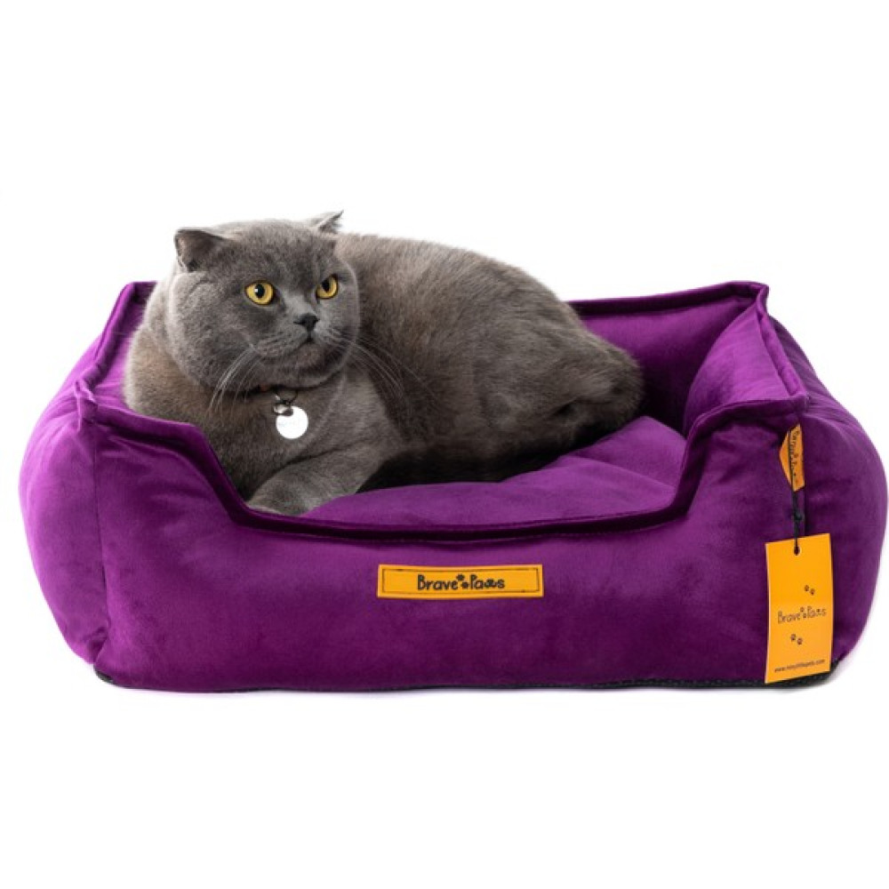 Brave Paws Yıkanabilir Kedi ve Köpek Yatağı Tüplü Elyaf Dolgulu Tüy Tutmaz 50*50CM - Mor Evcil Hayvan Ürünleri Fiyatı