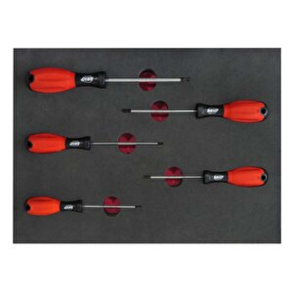 Brio Tornavida Seti Torx 5 Parça T10-t30 Sünger Yataklı Tornavida Fiyatı