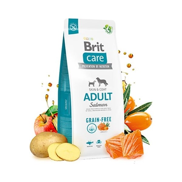 Brit Care Tahılsız Skin & Coat Somonlu Yetişkin Köpek Maması 12 kg - 1 Evcil Hayvan Ürünleri Fiyatı