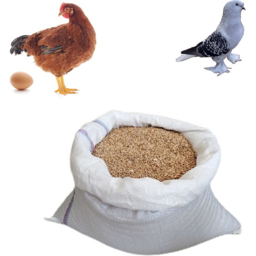 Buğday 10 kg tavuk ve güvercinler için Buğday Evcil Hayvan Ürünleri Fiyatı