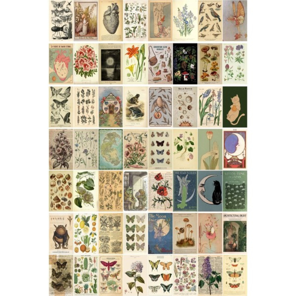 Buka Shop Vintage Botanical 60' Lı Duvar Posteri Seti - 45 x 30 cm - Renkli Poster Fiyatı