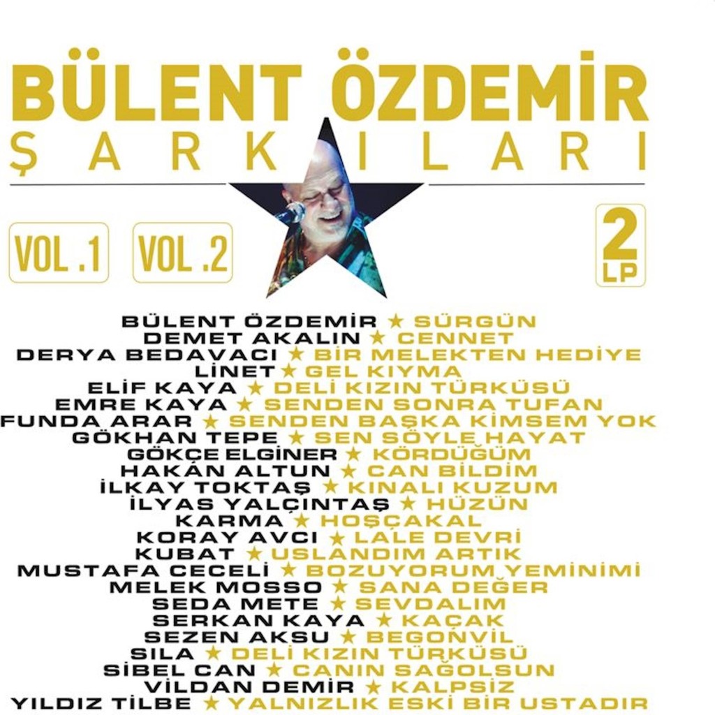 Bülent Özdemir Şarkıları - Çeşitli Sanatçılar (2 Plak) Diğer Fiyatı