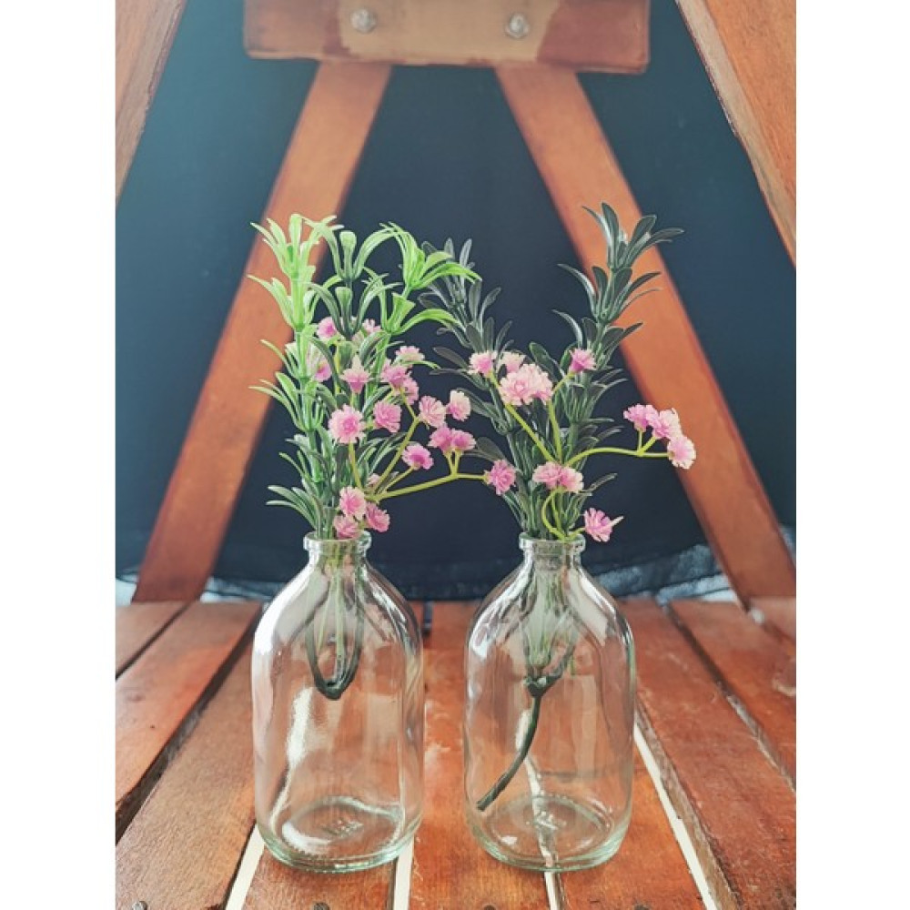 Bümay Home 2 Adet Şeffaf Mini Cam Şişe Vazo 100 Ml(Çiçek Dahil Değildir) Vazo Fiyatı