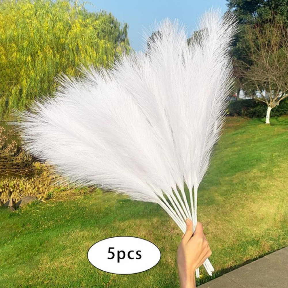 Bunblic 5pcs Sahte Yapay Pampas Çim Dekor 5 Gövdeler Sazlık Oda Dekor Buket Beyaz (Yurt Dışından) Ev & Dekorasyon Aksesuarları Fiyatı