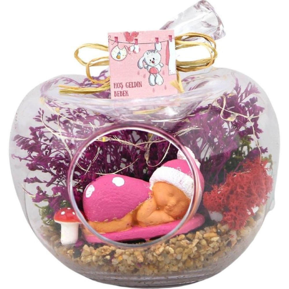 Burdan Eve Hoş Geldin Kız Bebek Işıklı Mini Elma Teraryum Bitki Fiyatı