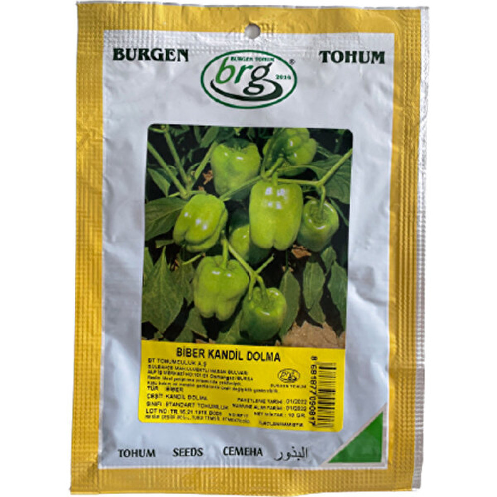 BURGEN Biber (Kandil Dolma) - 10 gr Tohum Fiyatı