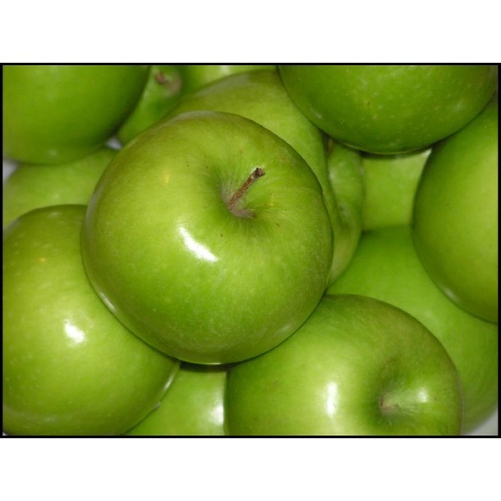 Bursa Tarım Bursatarım Granny Smith Elma Fidanı Fidan Fiyatı