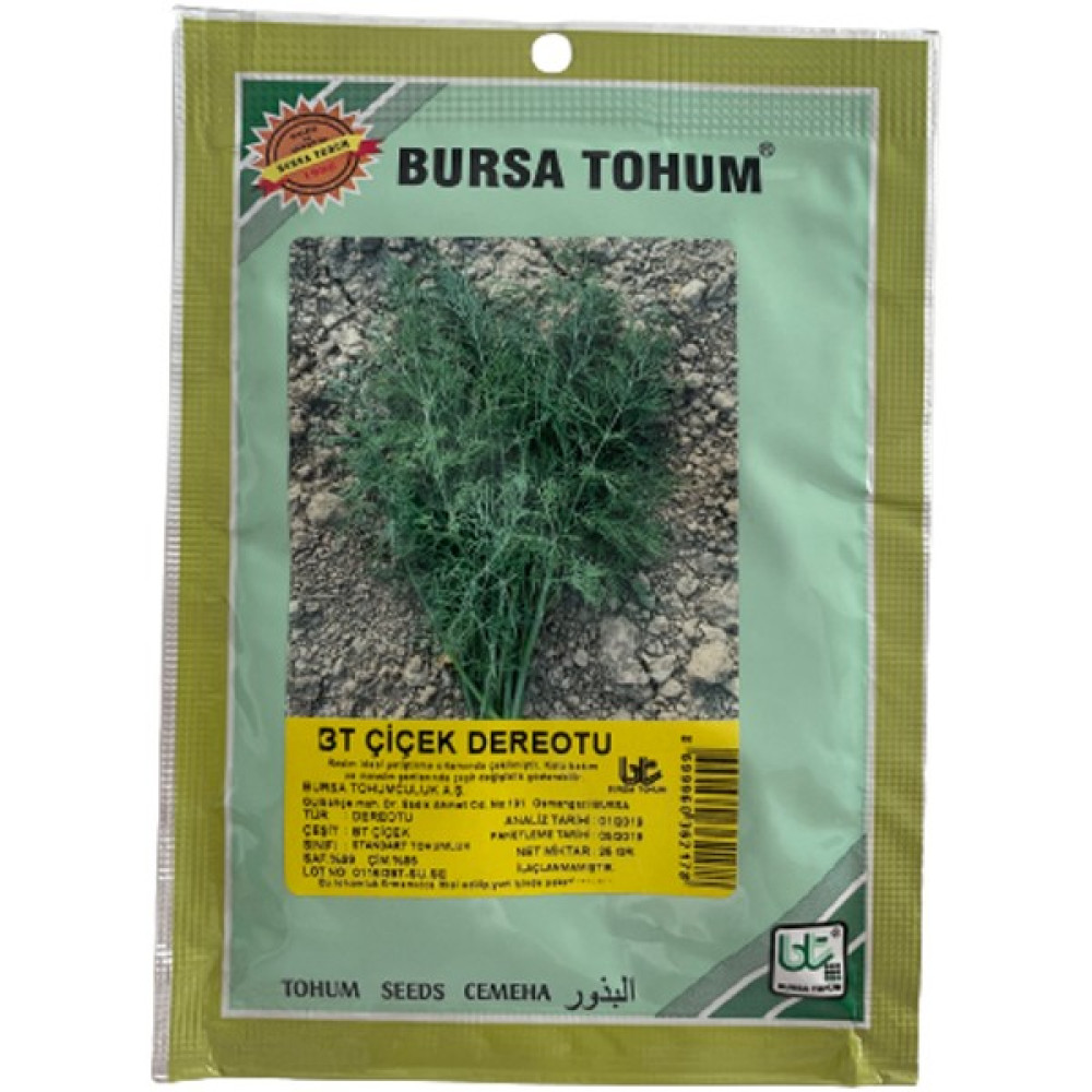 Bursa Tohum Çiçek Dereotu 10 Gr Tohum Fiyatı