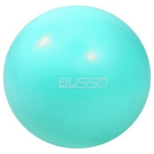 Busso GYM26-25 cm Pilates Topu Polybag Diğer Fiyatı
