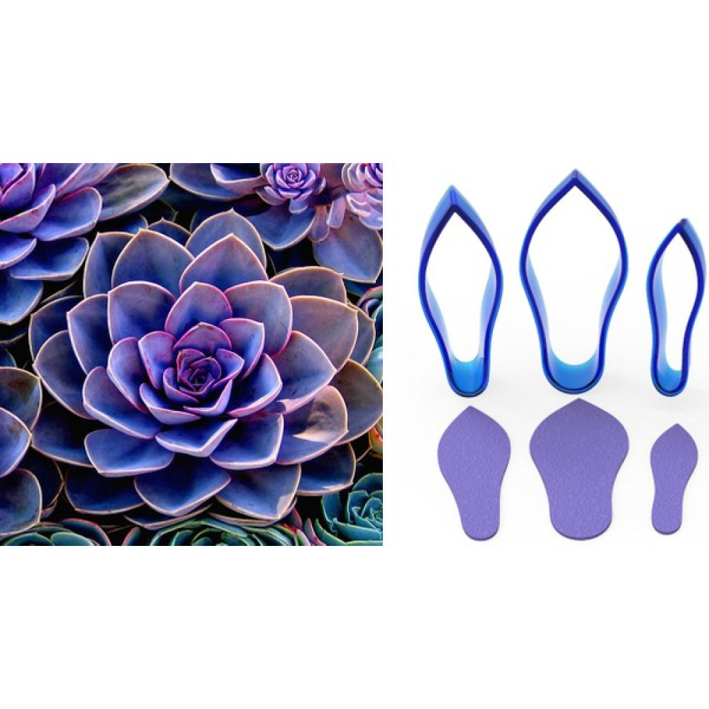Butedo Succulent Çiçek Yapım Seti 3lü Kek Kalıpları Fiyatı