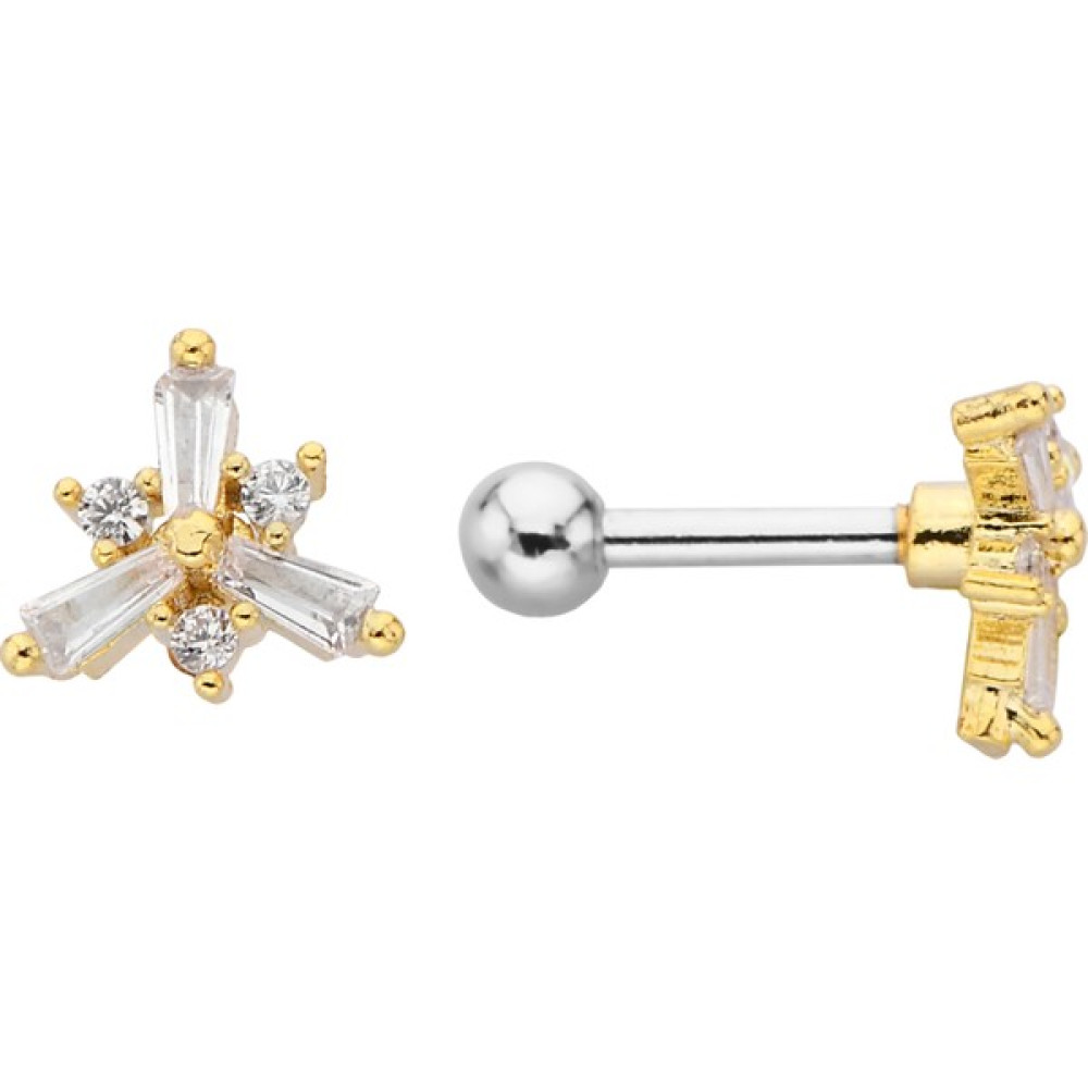 By Dilek Çetin Accessory Çelik Kıkırdak Helix Traguz Piercing Altın & Gümüş Piercing Fiyatı