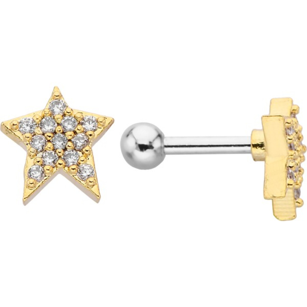 By Dilek Çetin Accessory Çelik Yıldız Model Kıkırdak Helix Tragus Piercing - Gold Altın & Gümüş Piercing Fiyatı