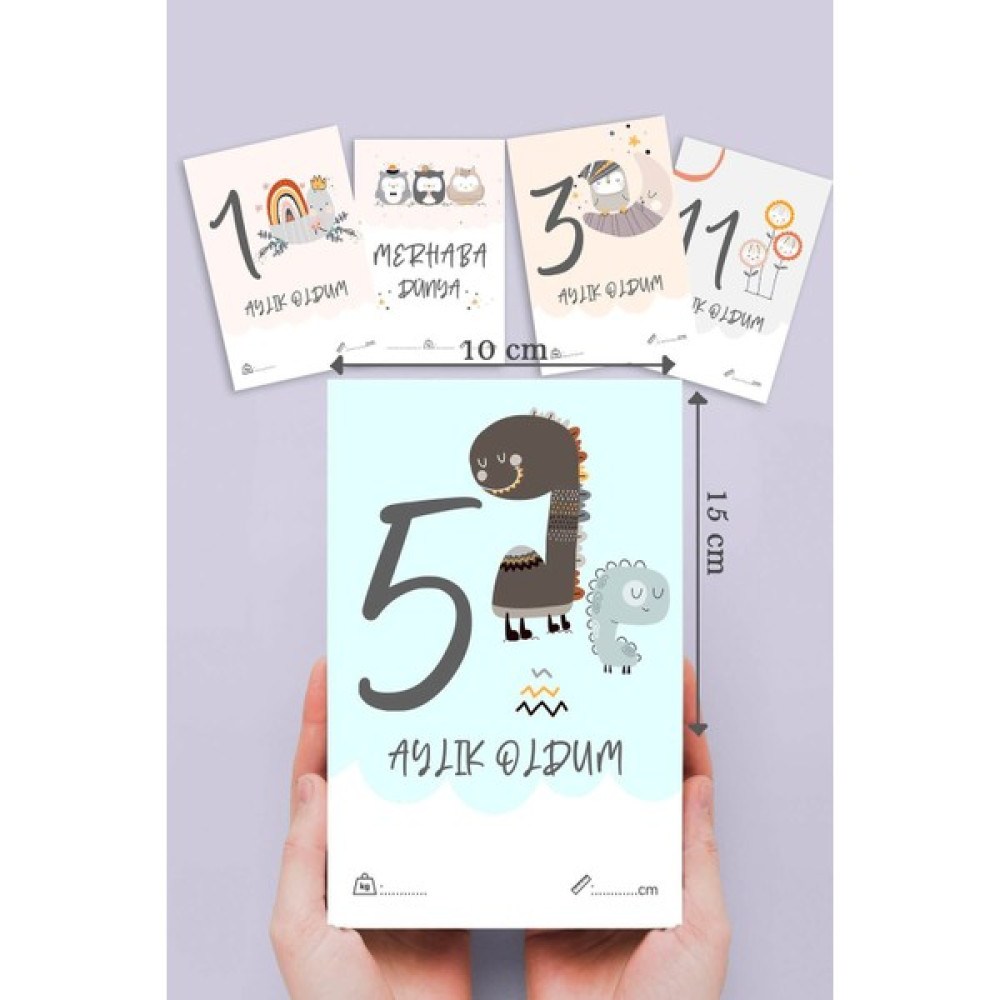 By Nur Erten Yenidoğan Bebek Aylık Fotoğraf Çekim Anı Kartı Unisex 13 Adet Anne, Bebek Fiyatı