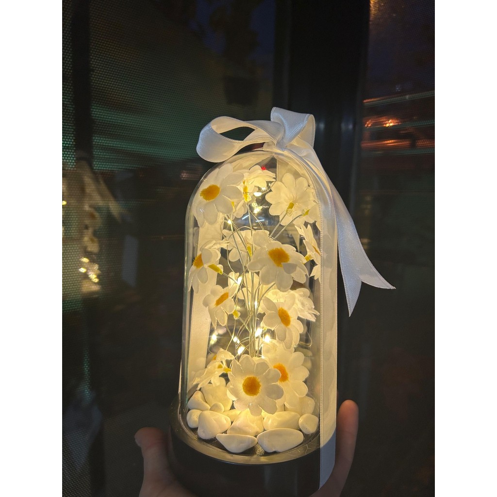 By Shopping Dekoratif LED Işıklı Papatya Fanusu El Yapımı 12 x 24 cm ABS Plastik Sevgiliye Özel Öğretmenler Günü Hediyelik - 1 Adet Diğer Fiyatı