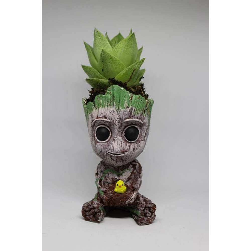 Cactus Garden Groot Civciv Figürlü 3D Dekoratif Saksı + Canlı Sukulent Bitkili - Kahverengi Saksı ve Aksesuarları Fiyatı