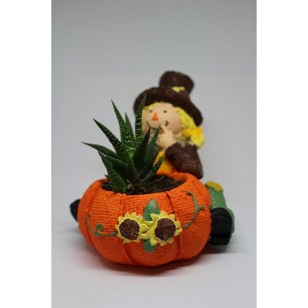 Cactus Garden Kuklacı Kız Figürlü Saksı + Canlı Kaktus Veya Sukulent Bitki Bitki Fiyatı