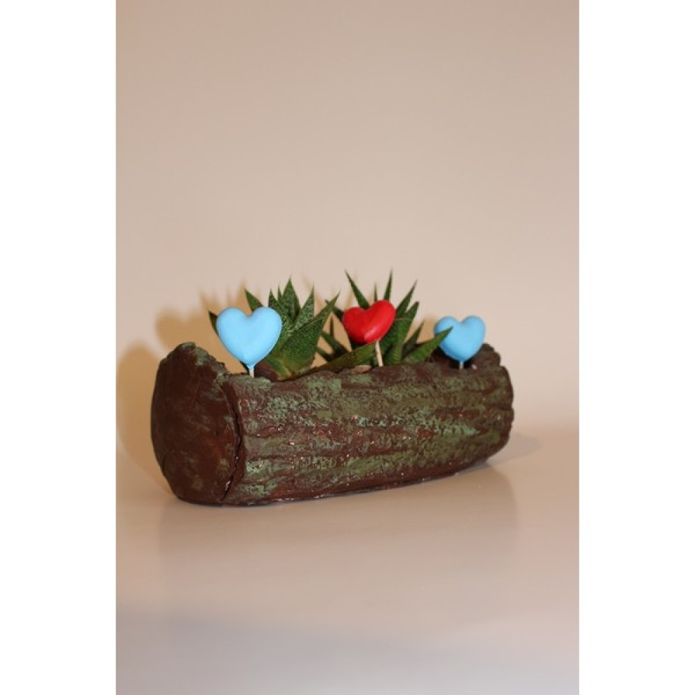 Cactus Garden Kütük Sukulent Bahçesi + 2 Adet Canlı Sukulent Bitki Bitki Fiyatı