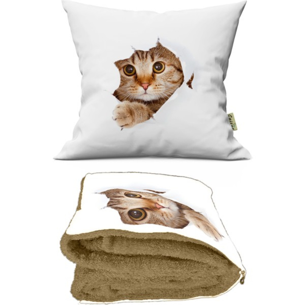 Caisya Butik Sevimli Kedi Desenli Iç Dolgusu Battaniyeli Araç Içi Opsiyonel Yastık 36X36CM Evcil Hayvan Ürünleri Fiyatı