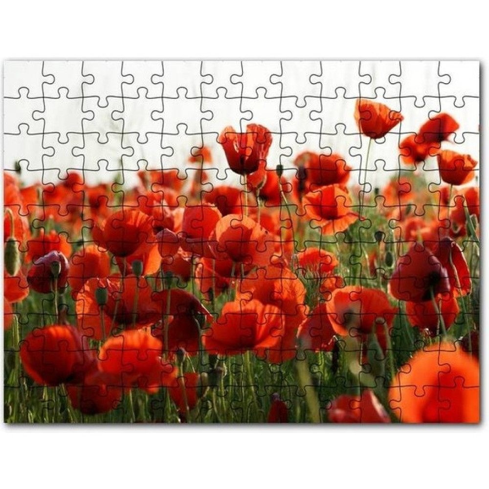Cakapuzzle Çayırda Kırmızı Gelincikler 1000 Parça Puzzle Yapboz Mdf (Ahşap) Puzzle & Aksesuarları Fiyatı