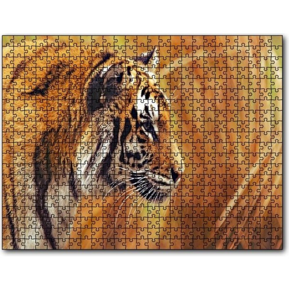 Cakapuzzle Çayırlar Arasında Kamufle Kaplan 255 Parça Puzzle Yapboz Mdf (Ahşap) Oto Boyaları Fiyatı