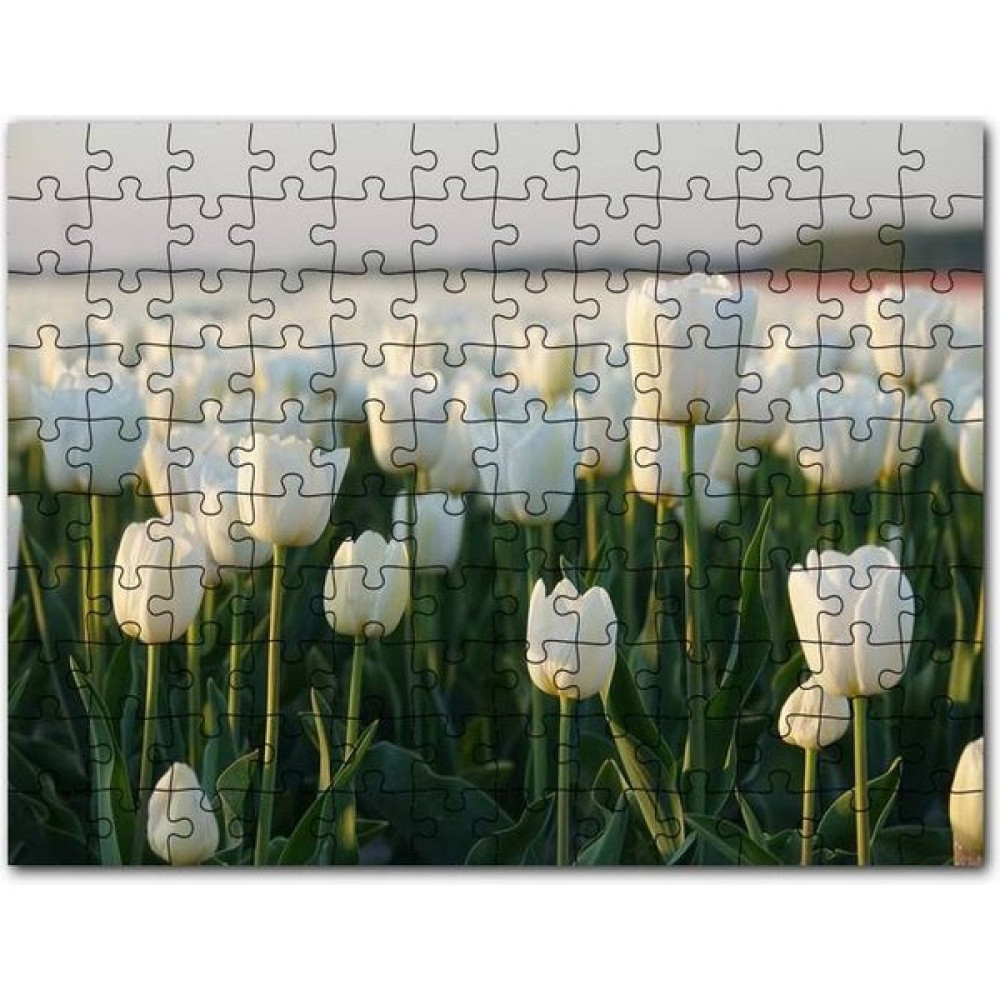 Cakapuzzle Gündoğumunda Beyaz Laleler 1000 Parça Puzzle Yapboz Mdf (Ahşap) Puzzle & Aksesuarları Fiyatı