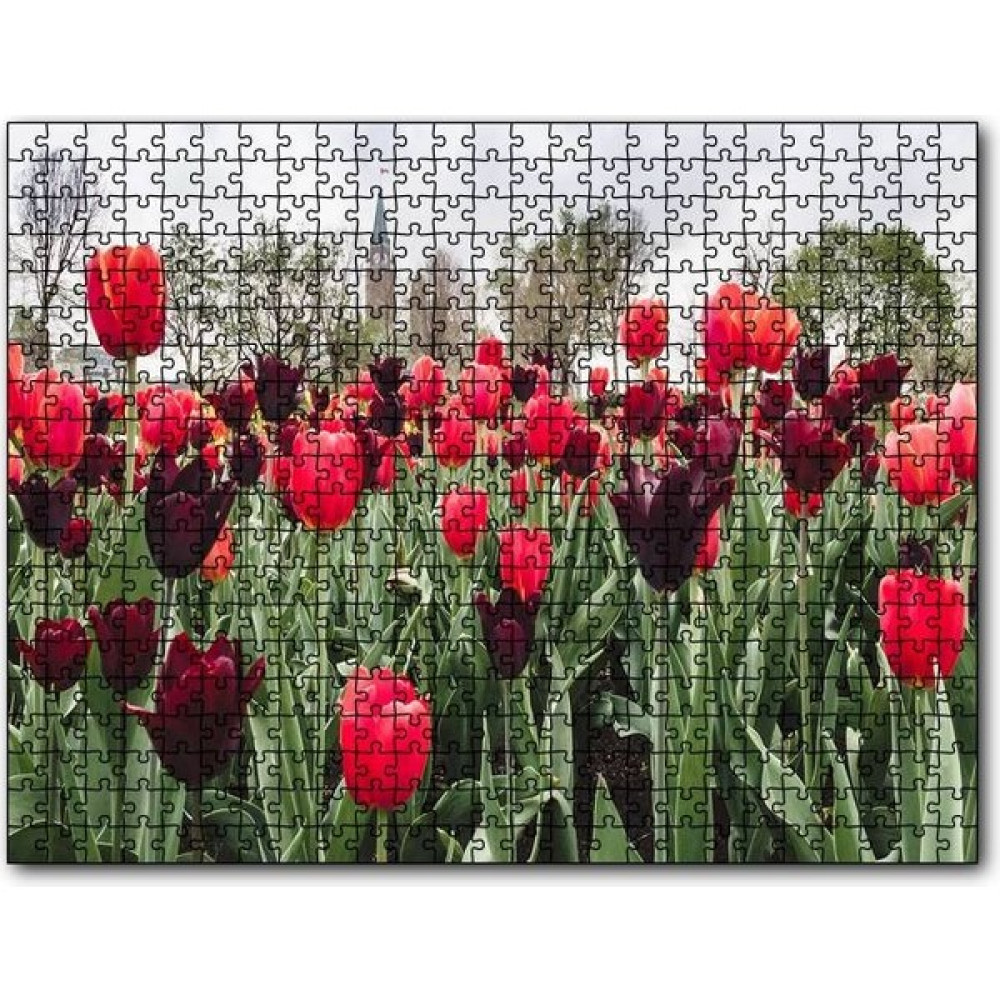 Cakapuzzle Turuncu ve Mor Laleler 255 Parça Puzzle Yapboz Mdf (Ahşap) Oto Boyaları Fiyatı