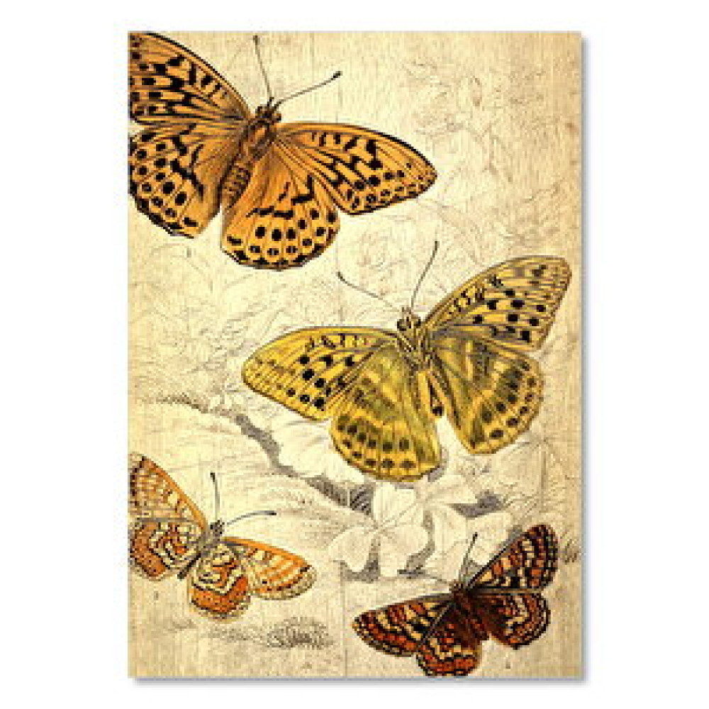 Cakatablo Eski Sarı Renkli Kelebekler Görseli 50x70 cm Tablo & Poster Fiyatı