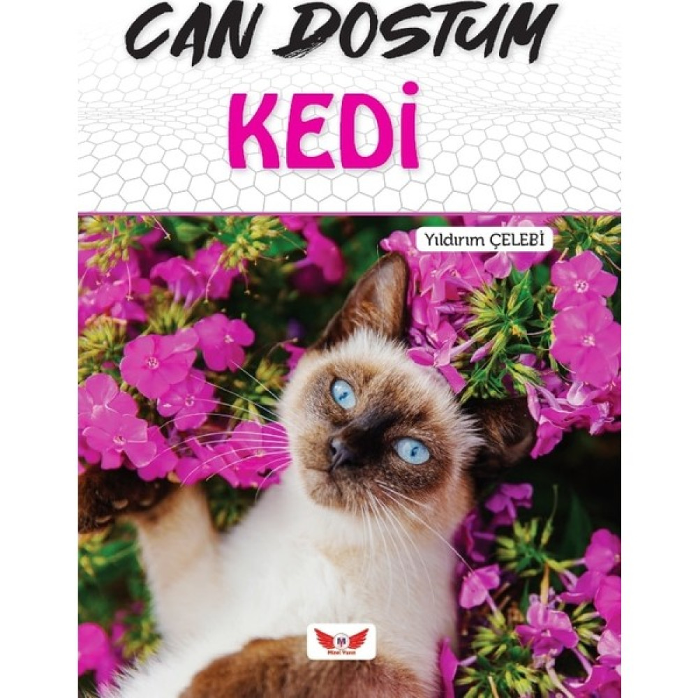 Can Dostum Kedi - Yıldırım Çelebi Edebiyat Fiyatı