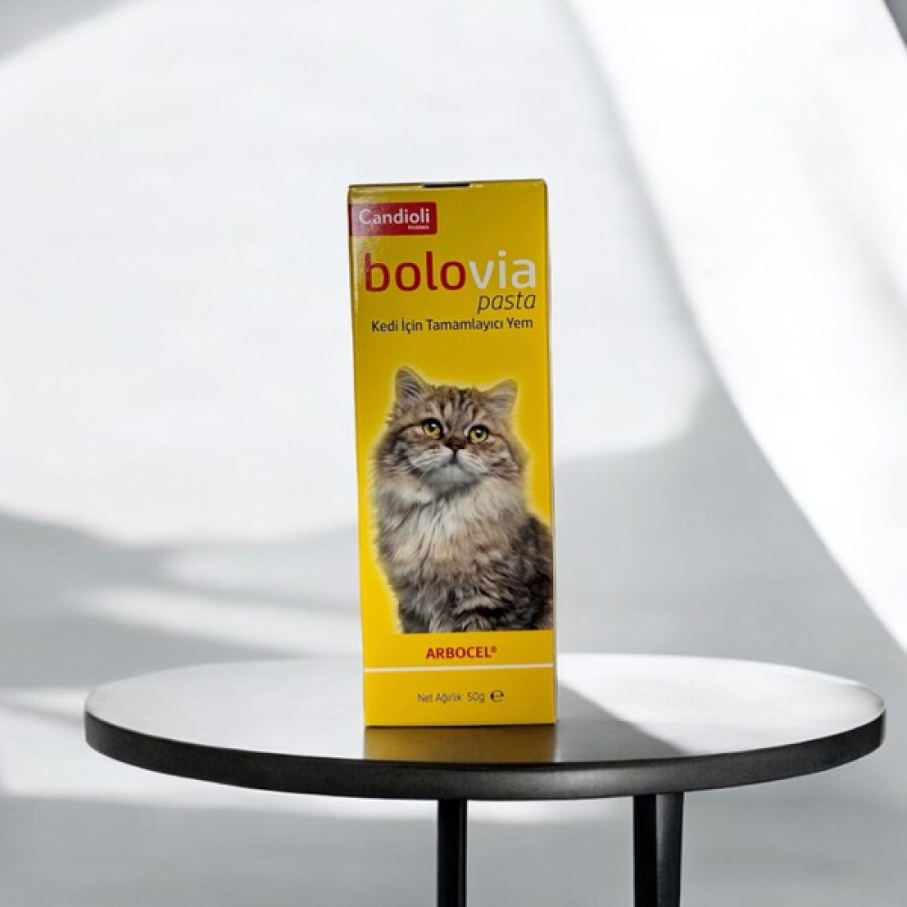 Candıoli Bolovia Malt - 50GR Oto Boyaları Fiyatı