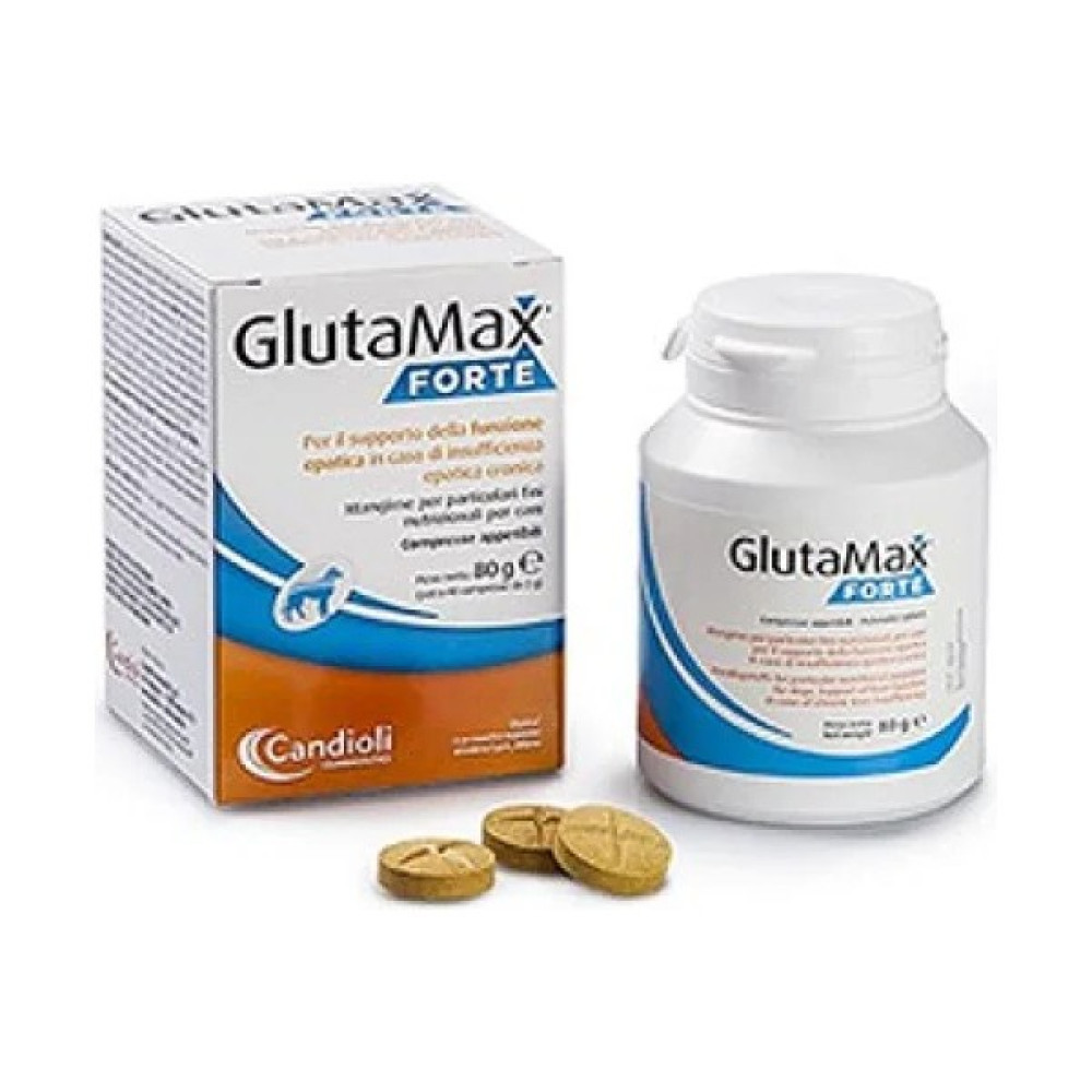 Candioli Glutamax Forte Oto Boyaları Fiyatı