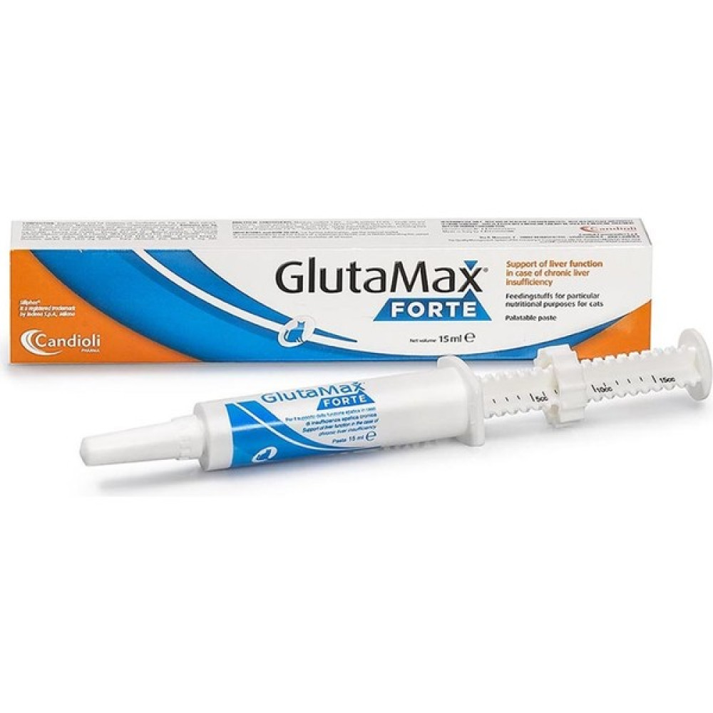 Candioli Glutamax Forte Paste Oto Boyaları Fiyatı