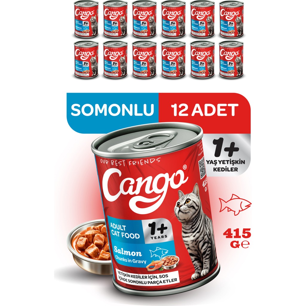 Cango Yetişkin Yaş Kedi Maması Somonlu 415GR 12LI Evcil Hayvan Ürünleri Fiyatı