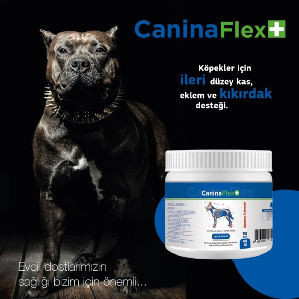 Canina Flex Collagen Glukozamin 10 Adet 400 gr Köpek Gelişim Ürünü.kemik Kas Kıkırdak Eklemgüçlendirici. Evcil Hayvan Ürünleri Fiyatı