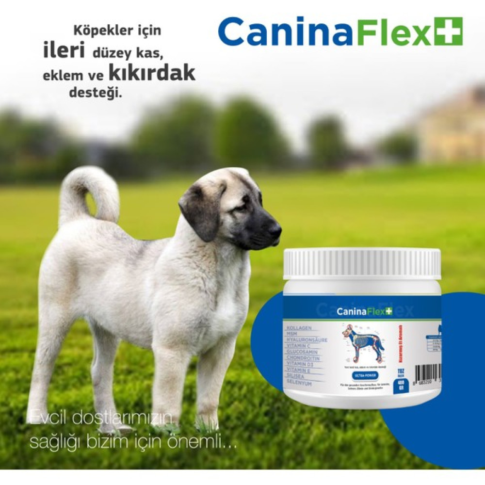 Canina Flex Collagen Glukozamin 2 Adet Köpekler Için Yeni Nesil Kemik Kas Eklem ve Kıkırdak Desteği. - Beyaz Evcil Hayvan Ürünleri Fiyatı
