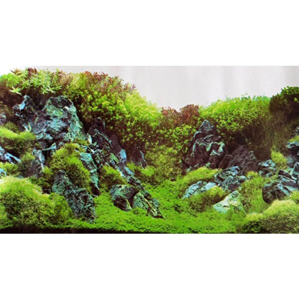 Canlı Petshop Arka Fon Bitkili Akvaryum Görünümlü 50 cm Uzunluk Yükseklik 80 cm No 9087 Evcil Hayvan Ürünleri Fiyatı