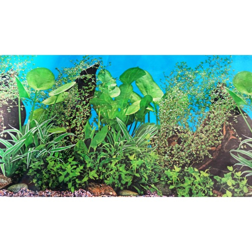 Canlı Petshop Arka Fon Manzara 50 cm Uzunluk Yükseklik 60 cm J60 Evcil Hayvan Ürünleri Fiyatı
