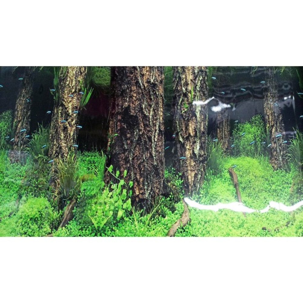 Canlı Petshop Arka Fon (Manzara-6) 50 cm Uzunluk Yükseklik 60 cm 9086 Evcil Hayvan Ürünleri Fiyatı