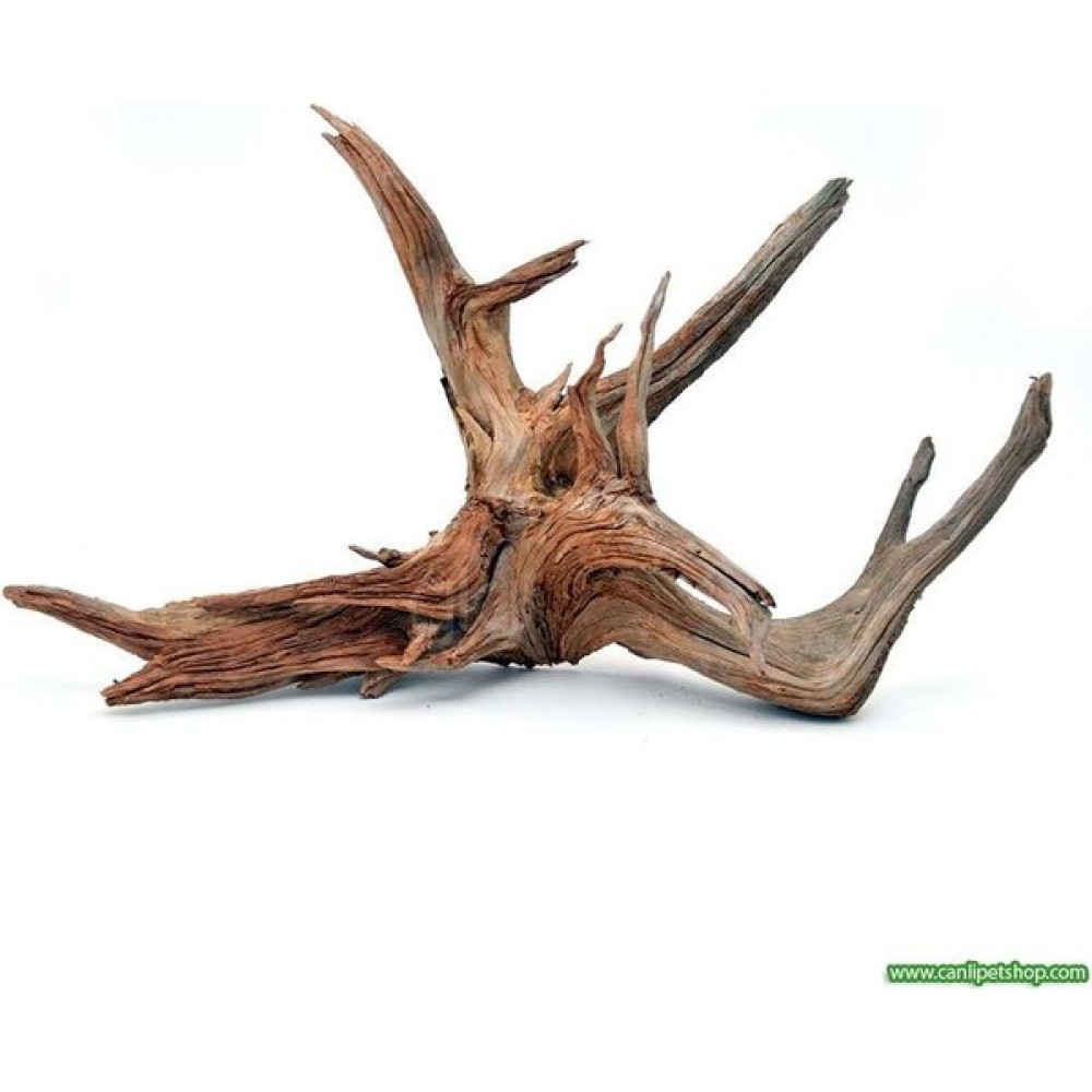 Canlı Petshop Yati Kökü (Red Moor Wood )- M - 10-15 cm Evcil Hayvan Ürünleri Fiyatı