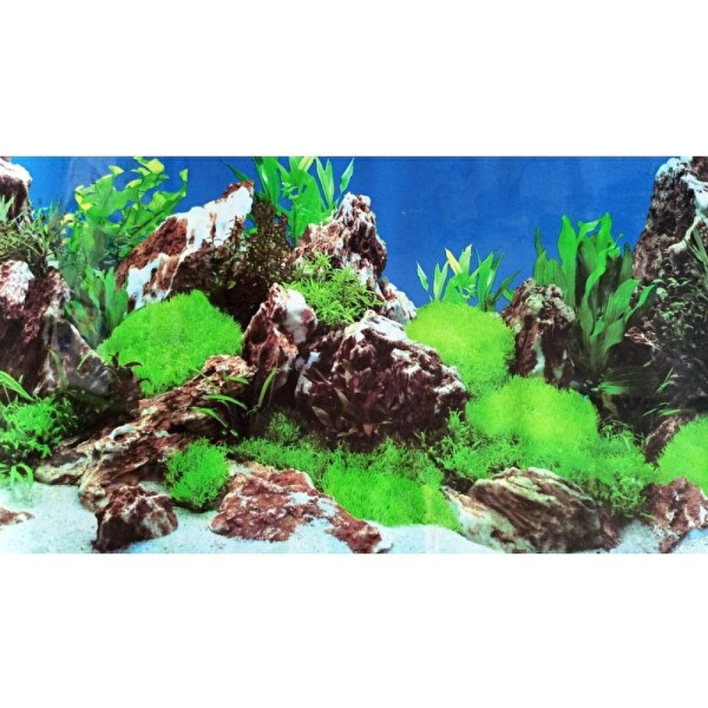 Canlipetshop Arka Fon 50 cm Uzunluk Yükseklik 50 cm No 9028 Evcil Hayvan Ürünleri Fiyatı