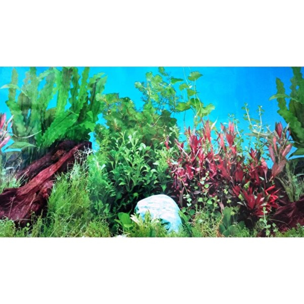 Canlipetshop Arka Fon (Manzara-3) 50 cm Uzunluk Yükseklik 50 cm No 9021 Evcil Hayvan Ürünleri Fiyatı