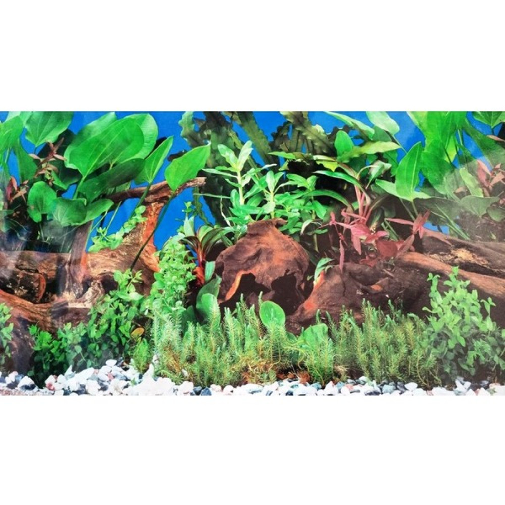 Canlipetshop Arka Fon Manzara 50 cm Uzunluk Yükseklik 50 cm No J59 Evcil Hayvan Ürünleri Fiyatı