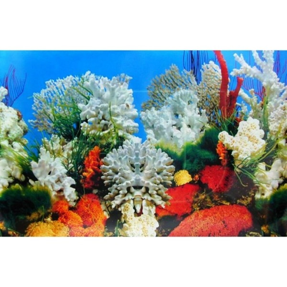 Canlipetshop Arka Fon Mercan Görünümlü 50 cm Uzunluk Yükseklik 40 cm No DB16 Evcil Hayvan Ürünleri Fiyatı