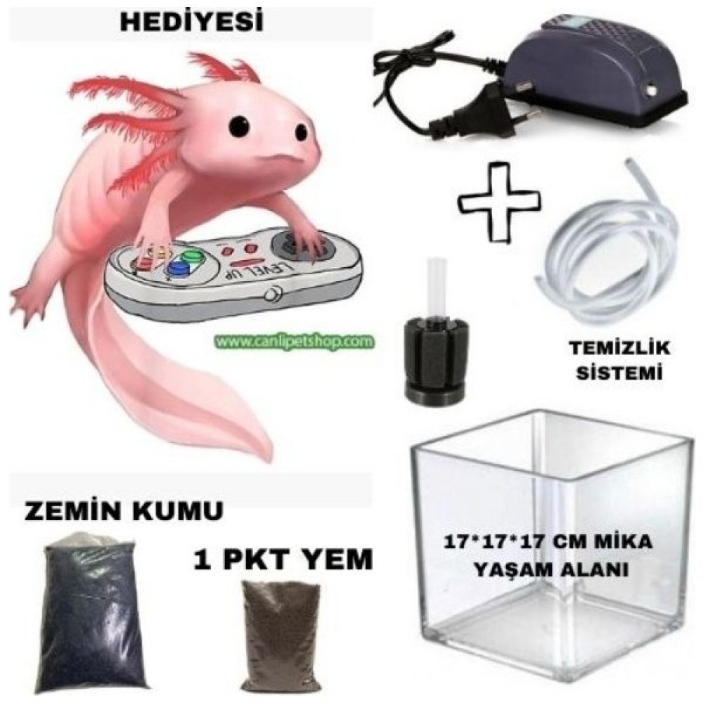 Canlipetshop Axolotl Dekor (Yaşam Alanı+Filtre Sistemi+Kum+Yem+Hediye Axolotl) Komple Set Evcil Hayvan Ürünleri Fiyatı