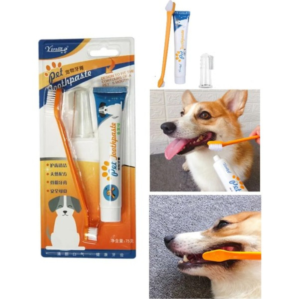 Canlipetshop Kedi Köpek Diş Fırçası ve Diş Macunu Seti Yenilebilir Diş Macunu Dental Kit Ağız ve Diş Sağlık Seti DF442 Evcil Hayvan Ürünleri Fiyatı